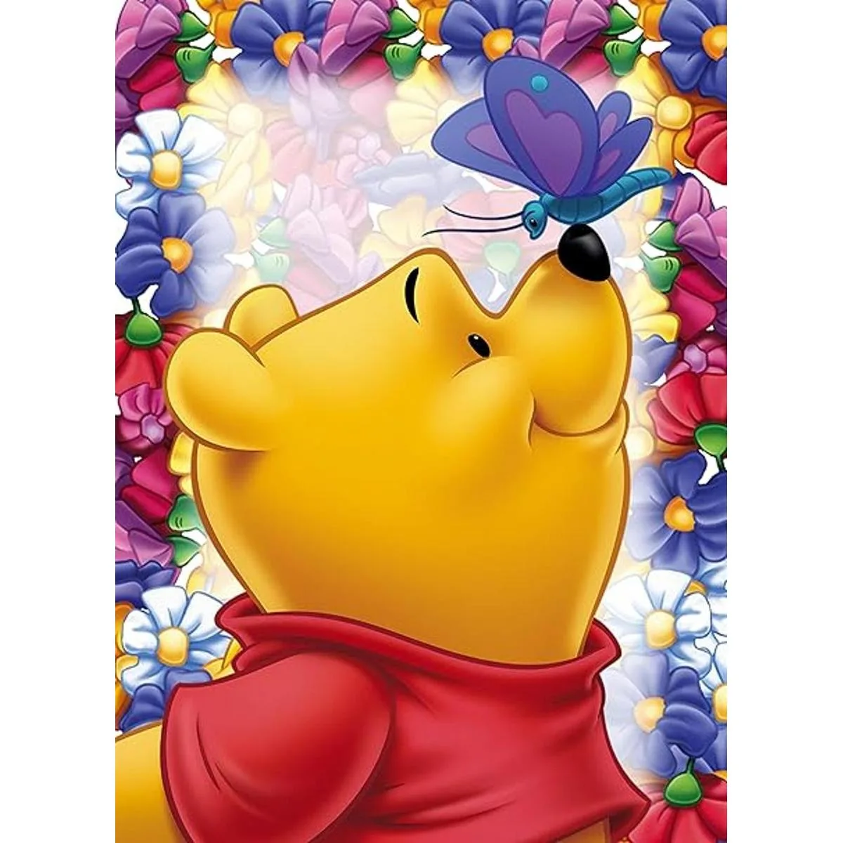 Kits de pintura de diamantes para adultos y niños pintura_1