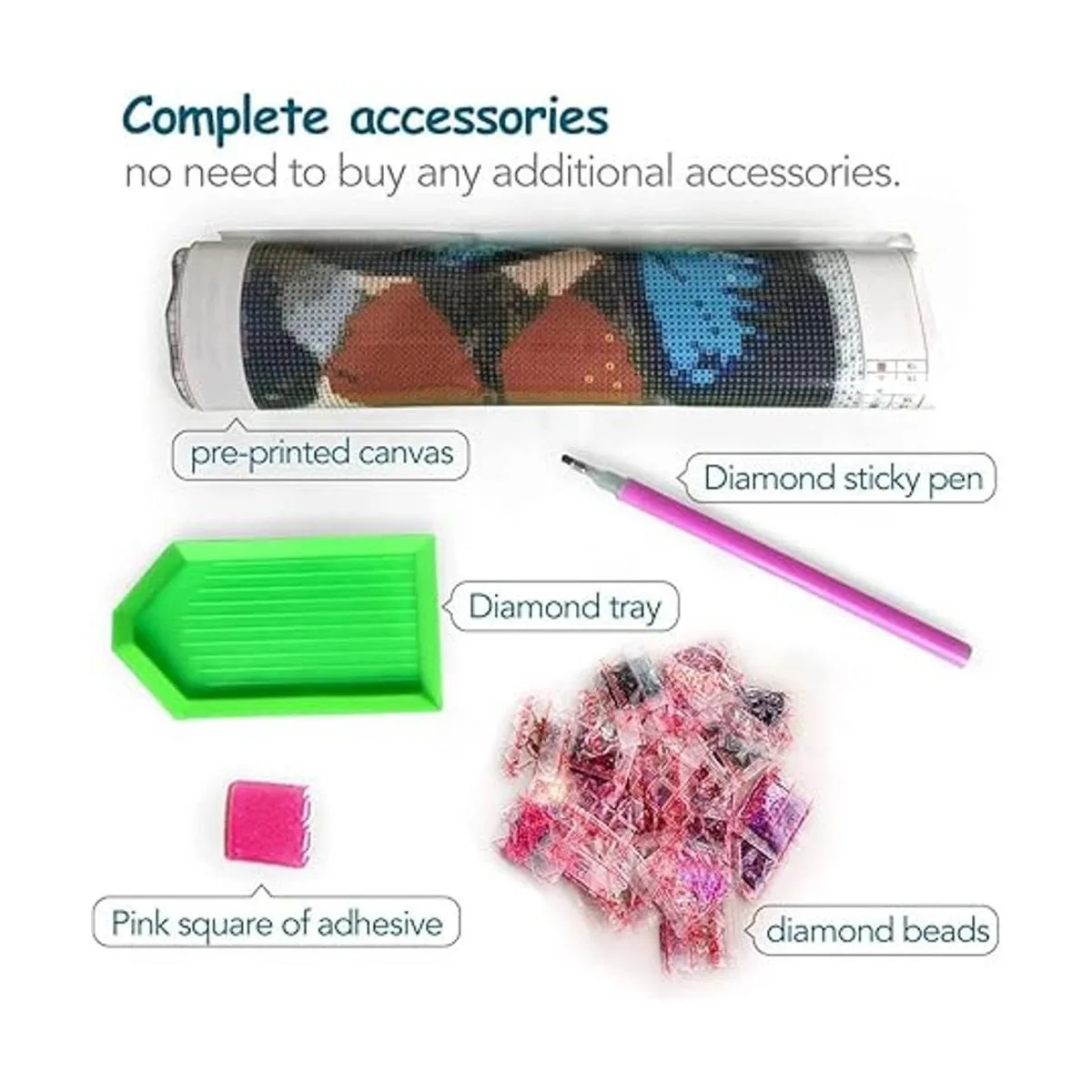 Kits de pintura de diamantes para adultos y niños pintura_2