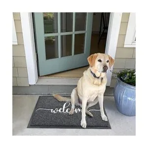 AAZZKANG Felpudo de bienvenida antideslizante y duradero_5