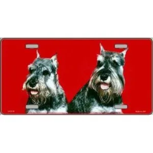 Schnauzer vanidad metal mascota perro raza novedad License_1