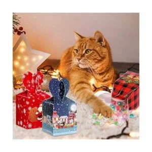 Paquete de 24 cajas de regalo de Navidad cajas de regalo_6