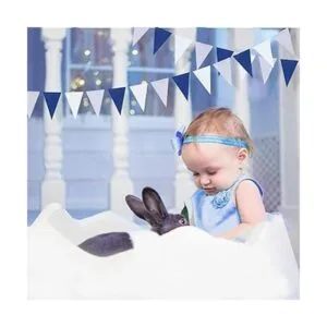 Decoración de fiesta azul marino blanco y plateado 30_5