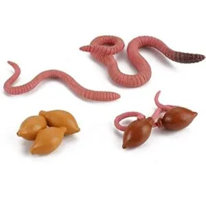 Juego de figuras de ciclo de vida de los juguetes de_1