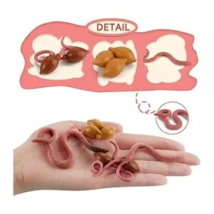 Juego de figuras de ciclo de vida de los juguetes de_2