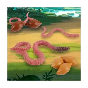 Juego de figuras de ciclo de vida de los juguetes de_5