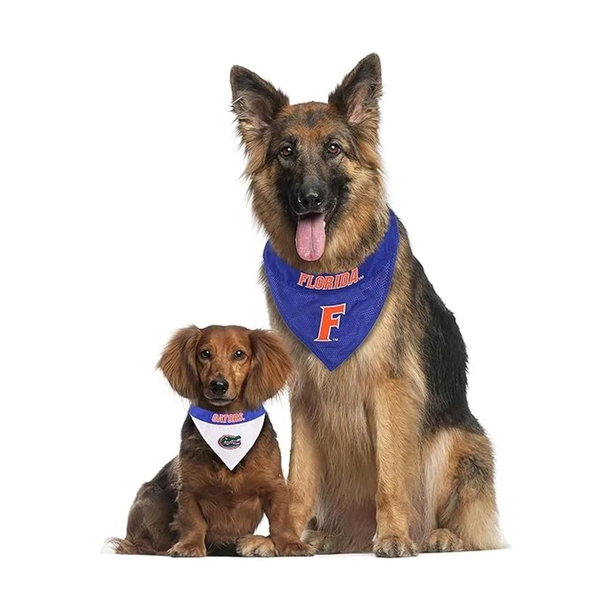 Pets First Florida Gators Bandana reversible para perros_5