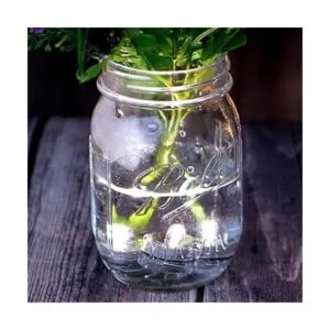 IMAGE Luces sumergibles para estanque paquete de 12 luces_4