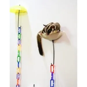 NEOUZA Juego de 6 planeadores de azúcar 140 piezas de_5