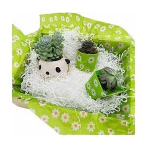 TTLLQQ Papel de seda de regalo 40 hojas de papel de_6