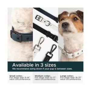 Diggs Collar de hebilla ajustable para perros cómodo_3