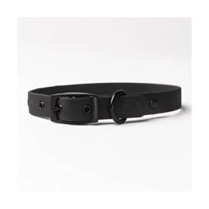 Diggs Collar de hebilla ajustable para perros cómodo_1
