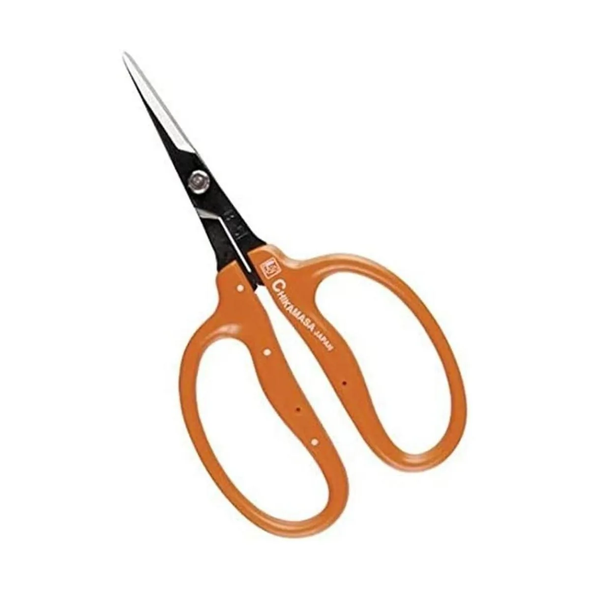 Tijeras y verduras profesionales de adelgazamiento de_1