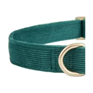 Ewinoom Collar suave para perro con hebilla de metal_4