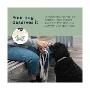 Diggs Collar de hebilla ajustable para perros cómodo_6