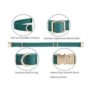 Ewinoom Collar suave para perro con hebilla de metal_2