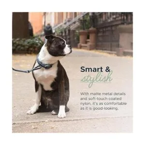 Diggs Collar de hebilla ajustable para perros cómodo_5