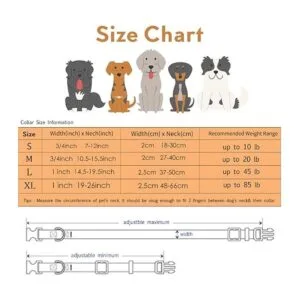 Impoosy Juego de 2 collares de perro y correa de galaxia_3