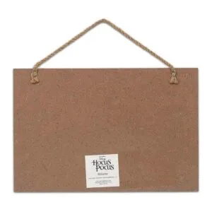 Open Road Brands Disney Hocus Pocus I Dont Get Out Much_3