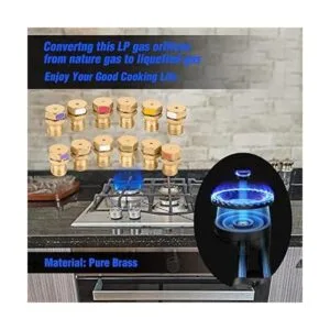 Kit de conversión de gas LP 12 piezas Latón_5