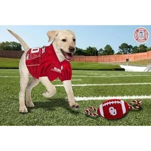 Pets First NCAA Oklahoma Sooners juguete de fútbol_2