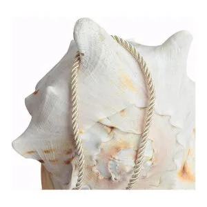 BEL AVENIR Cuerda de cuerda trenzada de 0.236 in 16_4