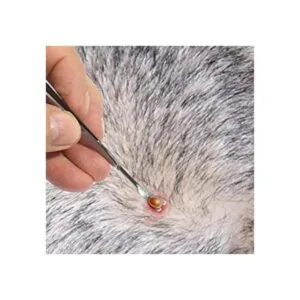 Herramienta para quitar garrapatas eTradewinds TickOff_7