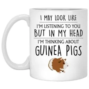 Q.PaddyShops Regalo de conejillo de indias taza de_1