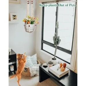 Pack de 5 perchas de macramé hechas a mano de algodón para_7