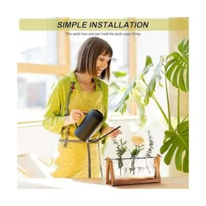 HUABEI Terrario con soporte de madera para plantas globo_4