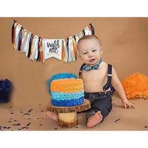 Wild One Banner para primer cumpleaños Cartel de silla_4