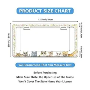 Marco de matrícula personalizado de metal con diseño de_2