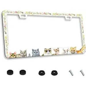 Marco de matrícula personalizado de metal con diseño de_1