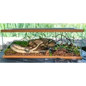 Galápagos 05054 Ropa de cama de ciprés con mantillo de_2