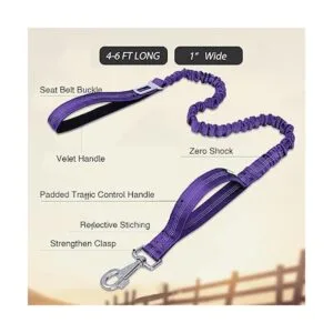 BUMBIN Correa para perros grandes de 6 pies correa_2