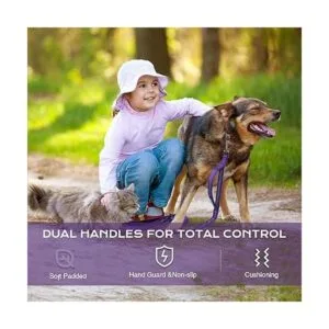 BUMBIN Correa para perros grandes de 6 pies correa_3