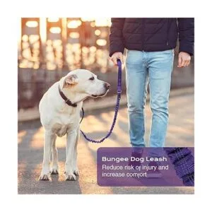 BUMBIN Correa para perros grandes de 6 pies correa_4