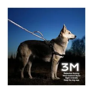 BUMBIN Correa para perros grandes de 6 pies correa_6