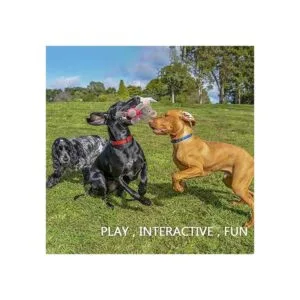 GOOLA Juguetes chirriantes para perros juguete_3