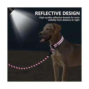 Dynmeow Juego de collar y correa reflectante para perro_4