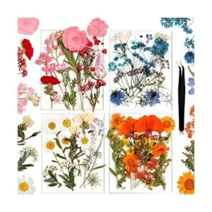 Flores prensadas de resina para molde de resina hojas de_1