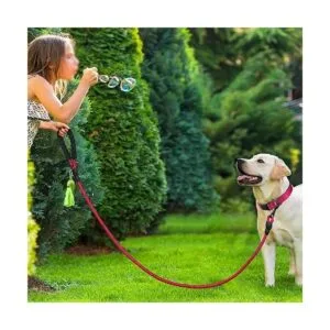 Dynmeow Juego de collar y correa reflectante para perro_5