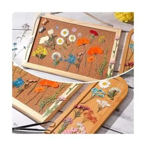 Flores prensadas de resina para molde de resina hojas de_2