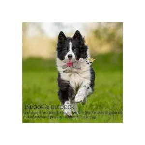 GOOLA Juguetes chirriantes para perros juguete_2