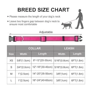 Dynmeow Juego de collar y correa reflectante para perro_6