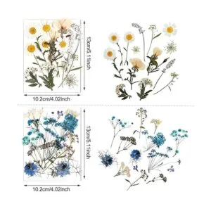 Flores prensadas de resina para molde de resina hojas de_4