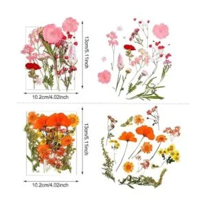 Flores prensadas de resina para molde de resina hojas de_3