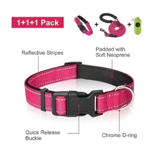 Dynmeow Juego de collar y correa reflectante para perro_2