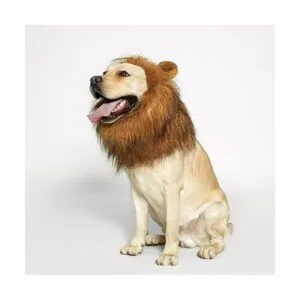 TOMSENN Melena de león para perro melena de león realista_3