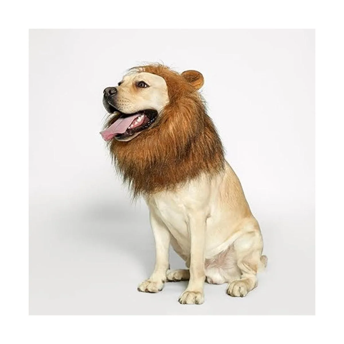 TOMSENN Melena de león para perro melena de león realista_3