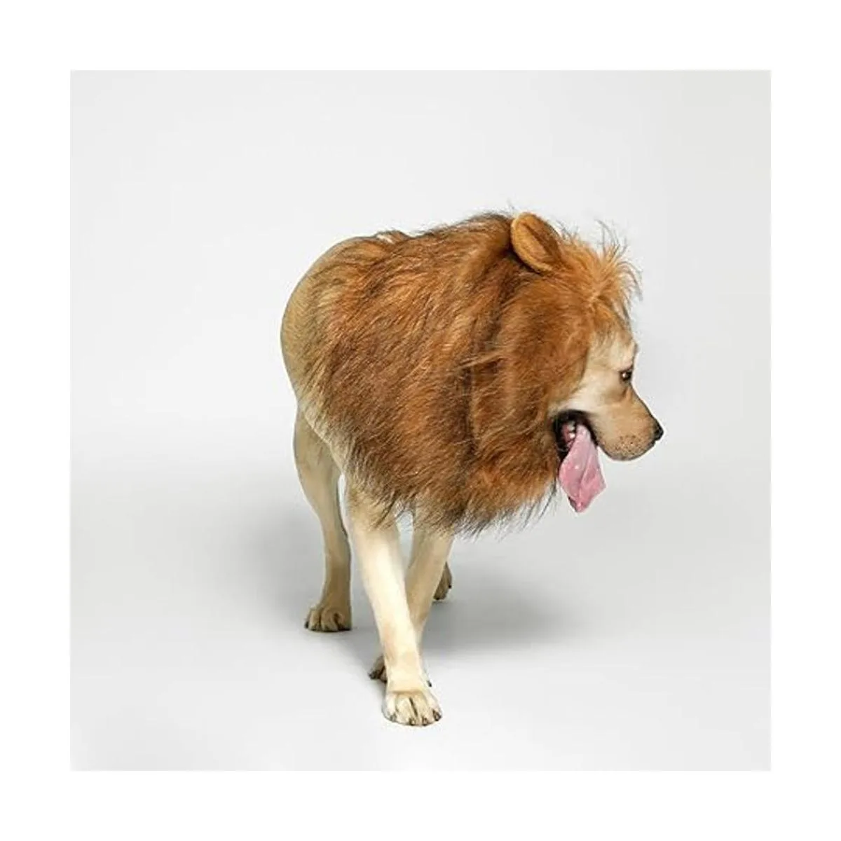 TOMSENN Melena de león para perro melena de león realista_2